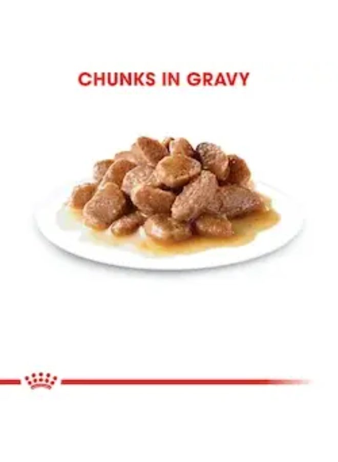 رويال كانين اكل رطب انستنكتيف للقطط (85g) - Image 2